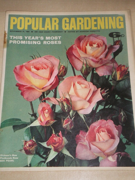 POPULAR GARDENING magazine, November 21 1964 issue for sale. Original BRITISH publication from Tille