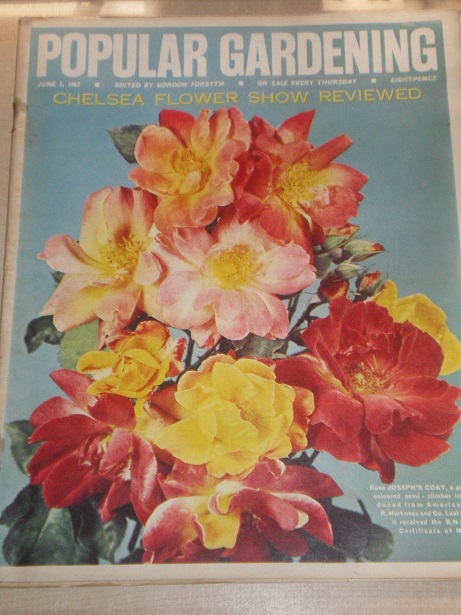 POPULAR GARDENING magazine, June 5 1965 issue for sale. Original BRITISH publication from Tilley, Ch