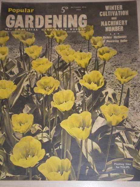 POPULAR GARDENING magazine, October 25 1958 issue for sale. Original BRITISH publication from Tilley