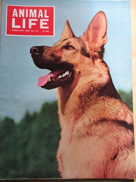 ANIMAL LIFE magazine, February 1964 issue for sale. Original British publication from Tilley, Cheste