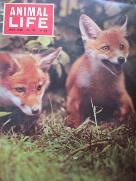ANIMAL LIFE magazine, May 1965 issue for sale. Original British publication from Tilley, Chesterfiel