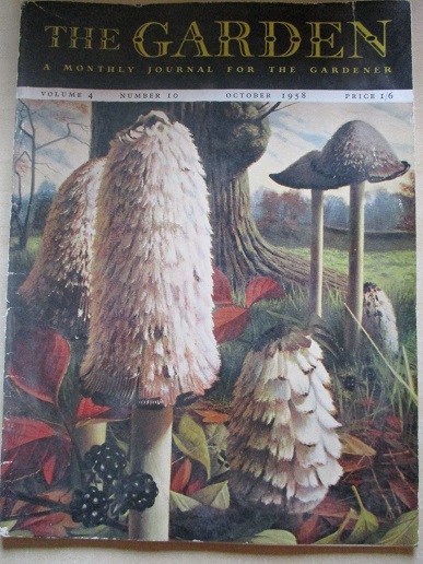 THE GARDEN magazine, October 1958 issue for sale. Original British publication from Tilley, Chesterf