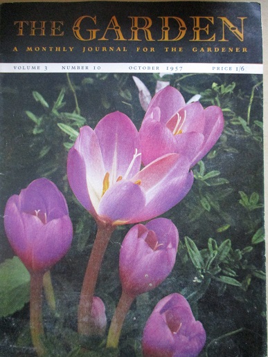 THE GARDEN magazine, October 1957 issue for sale. Original British publication from Tilley, Chesterf